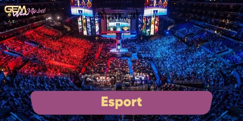 Esport được đông đảo người dùng yêu thích tại nền tảng